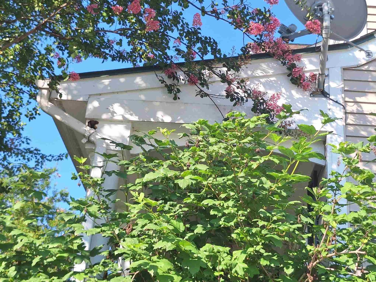 MFA HANDYMAN SERVICES